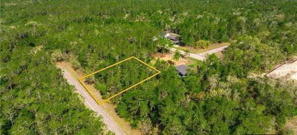 CITRUS SPRINGS UNIT 05