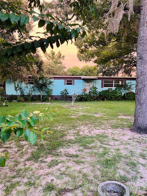 HIGHLANDS - фото