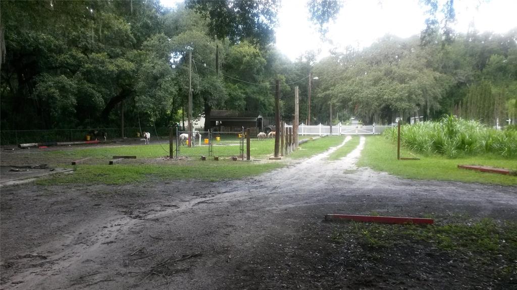 UNPLATTED - фото