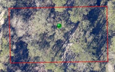 DAYTONA PARK ESTATES REP SEC F & G