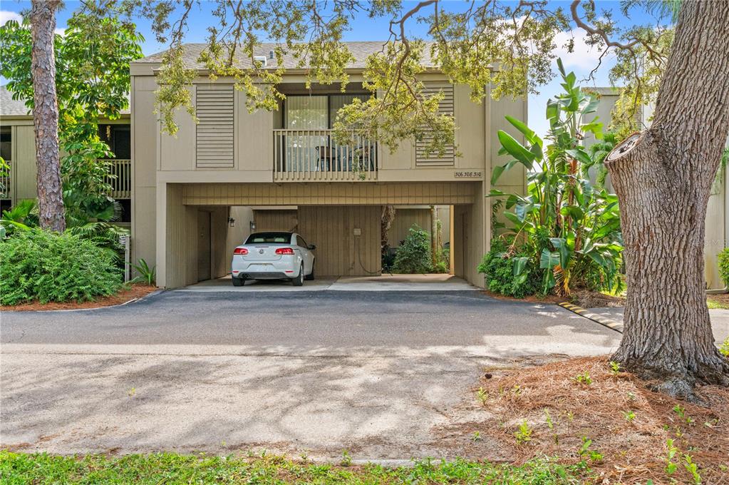 PINE RUN I - фото