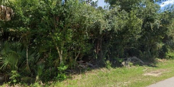 PORT CHARLOTTE SUB 08