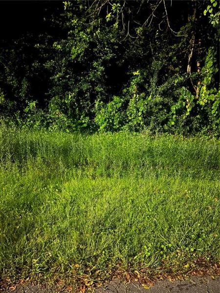 POINCIANA VLG 5 NBHD 1