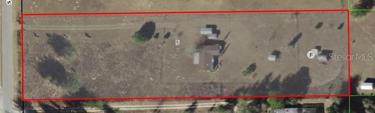 DERBY OAKS - фото