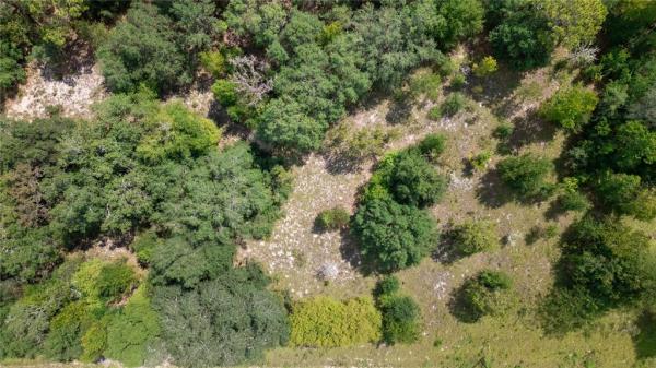 BIG TREE LAKES SEC B