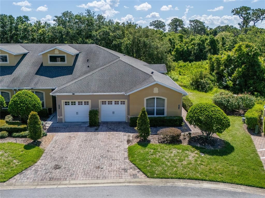 TRADITIONS PH 01 - фото