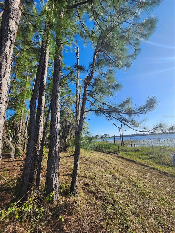 Land - фотография Land - фото