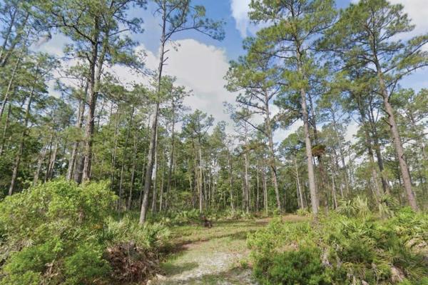 ST JOHNS RIVERSIDE ESTATES