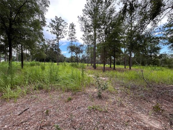 LANCALA FARMS PH 1 UN 3