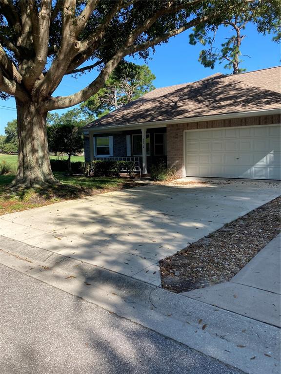 ON TOP OF THE WORLD - фото