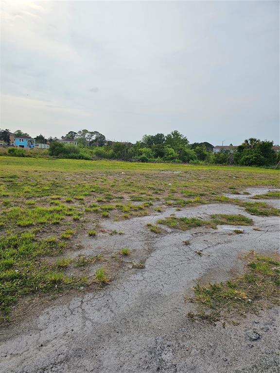 TAMPA TARPON SPGS LAND CO - фото