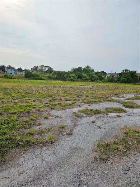 TAMPA TARPON SPGS LAND CO