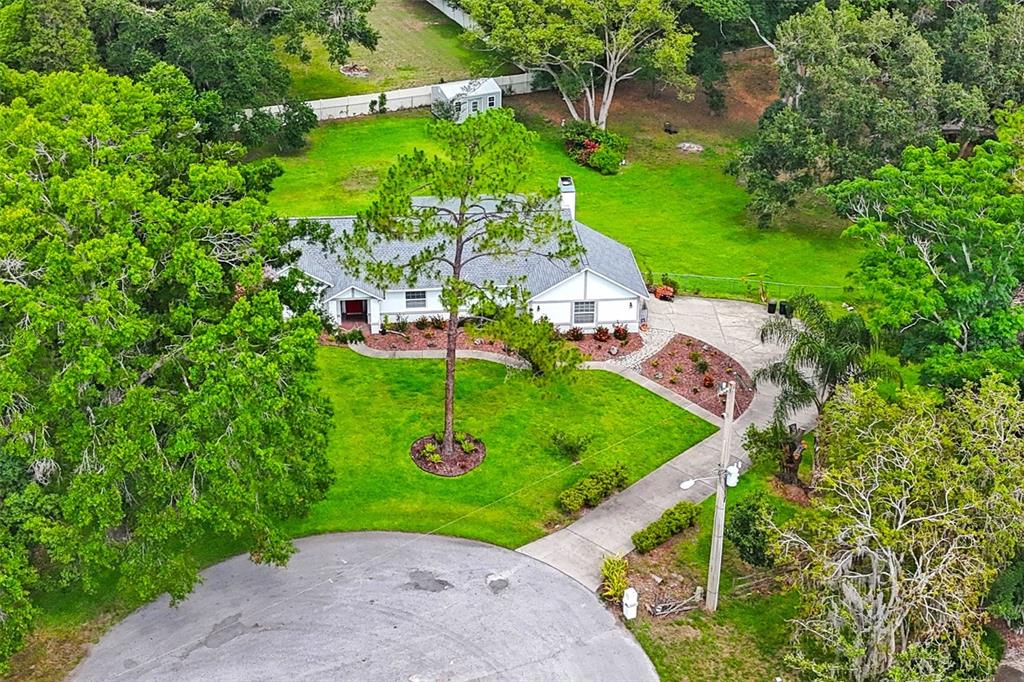 CITRUS TRACE 02 - фото