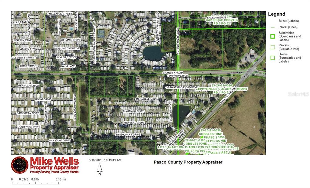 ZEPHYRHILLS COLONY CO - фото