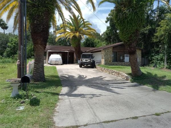 SHOTWELLS JUNGLE GARDEN