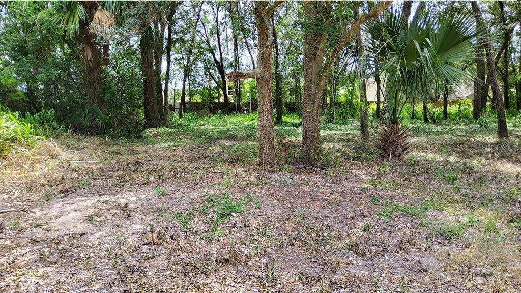 MT PLYMOUTH FIFTH ADD - фото