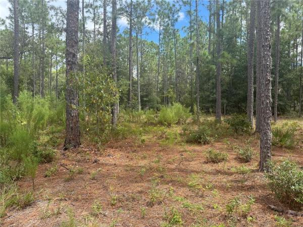 GREEN PATCH COUNTRY ESTATE