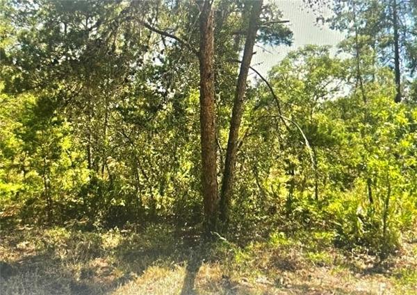 SUGARMILL WOODS OAK VILLAGE