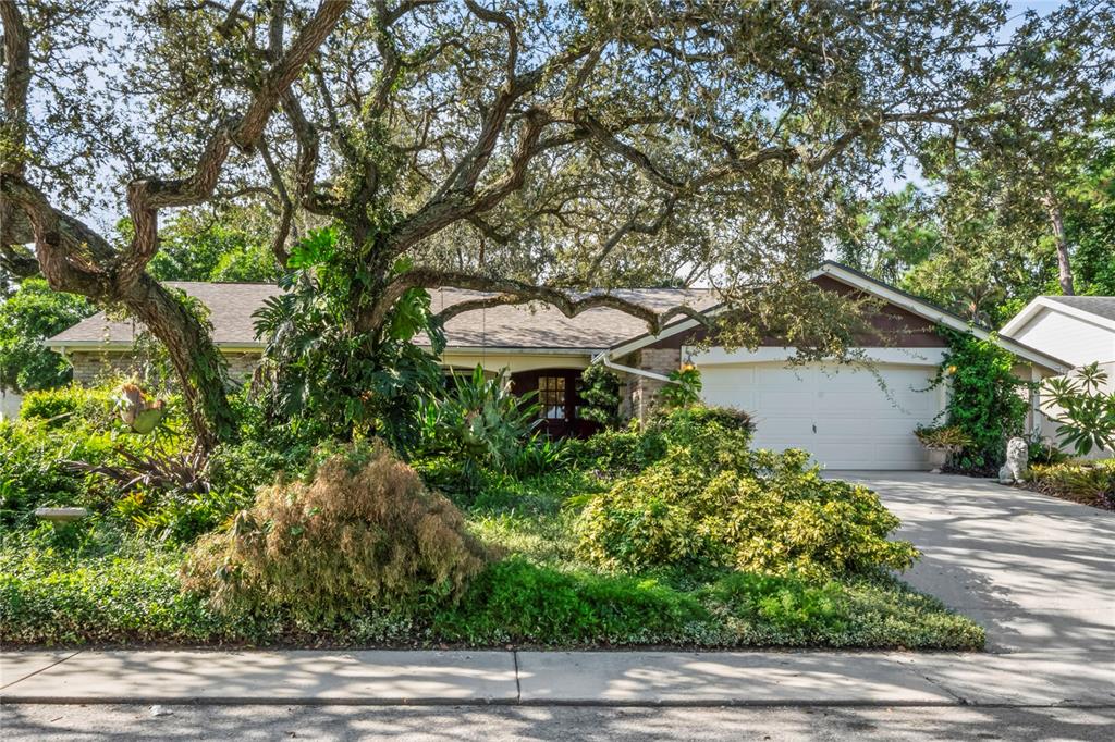 BEACON WOODS VILLAGE - фото