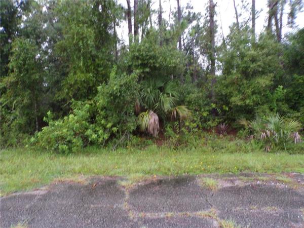 PORT CHARLOTTE SUB 45