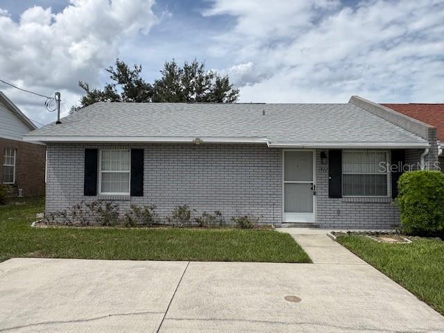 THOUSAND ROSES - фото