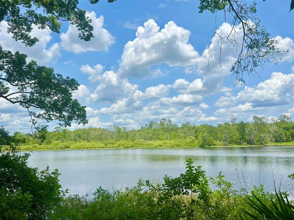 LAKE HELEN BLKS 01-03 INC JEFFERY - фото