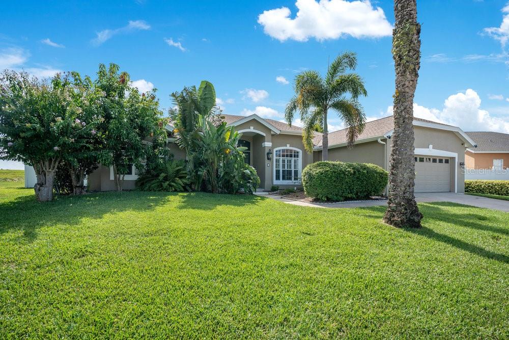 MARBLE HEAD - фото