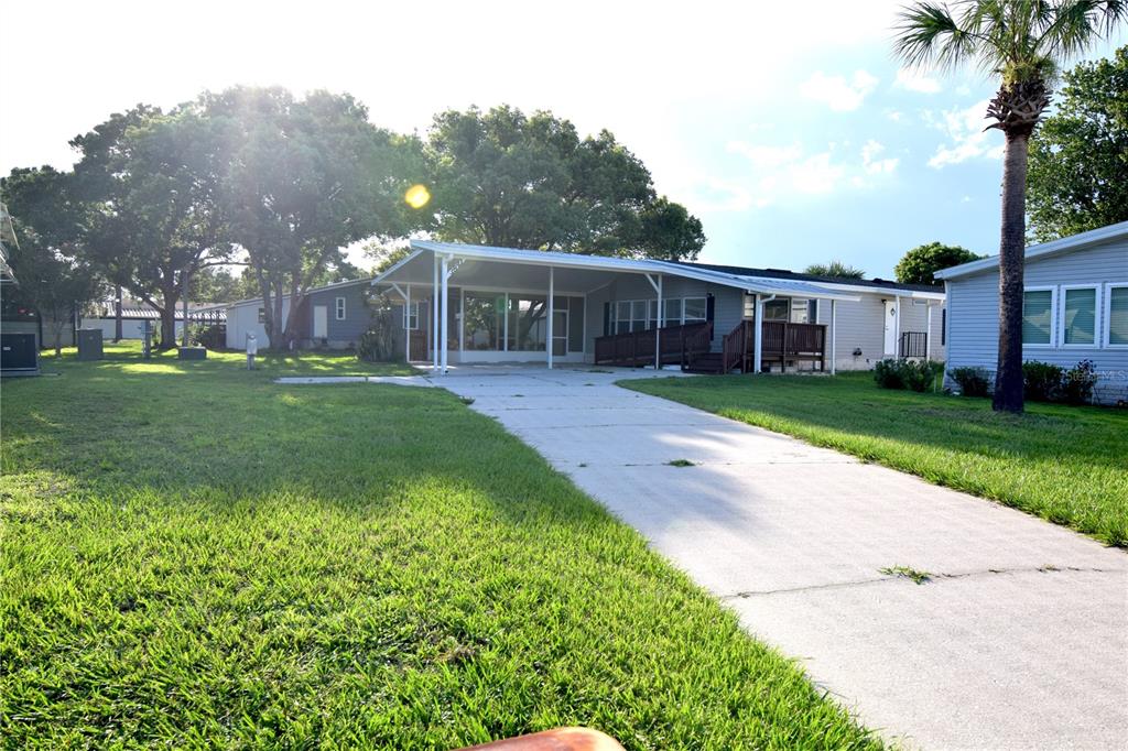 PALM VALLEY - фото