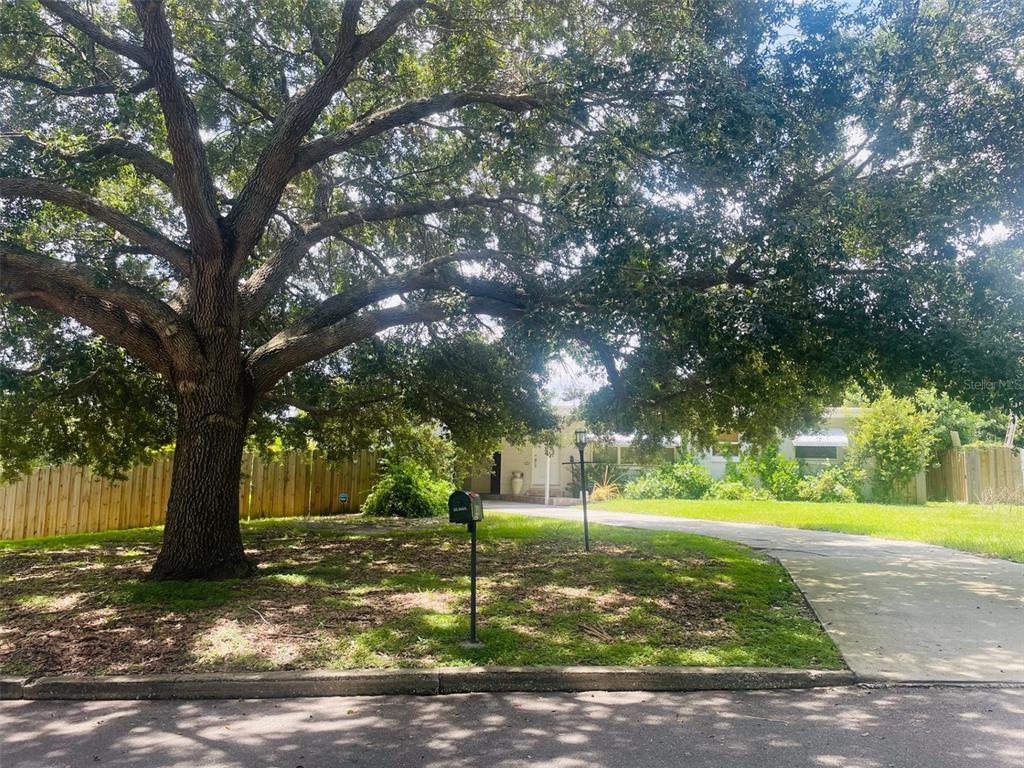 WINTER PARK MANOR - фото