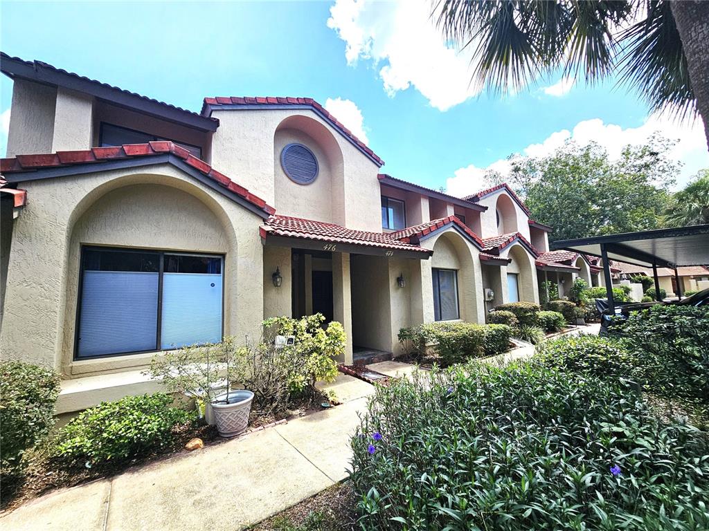 CYPRESS CLUB - фото