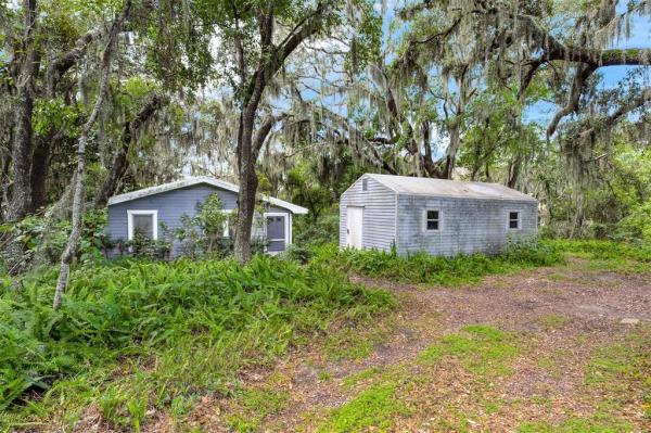 MOUNTAIN PARK ORLANGE GROVES