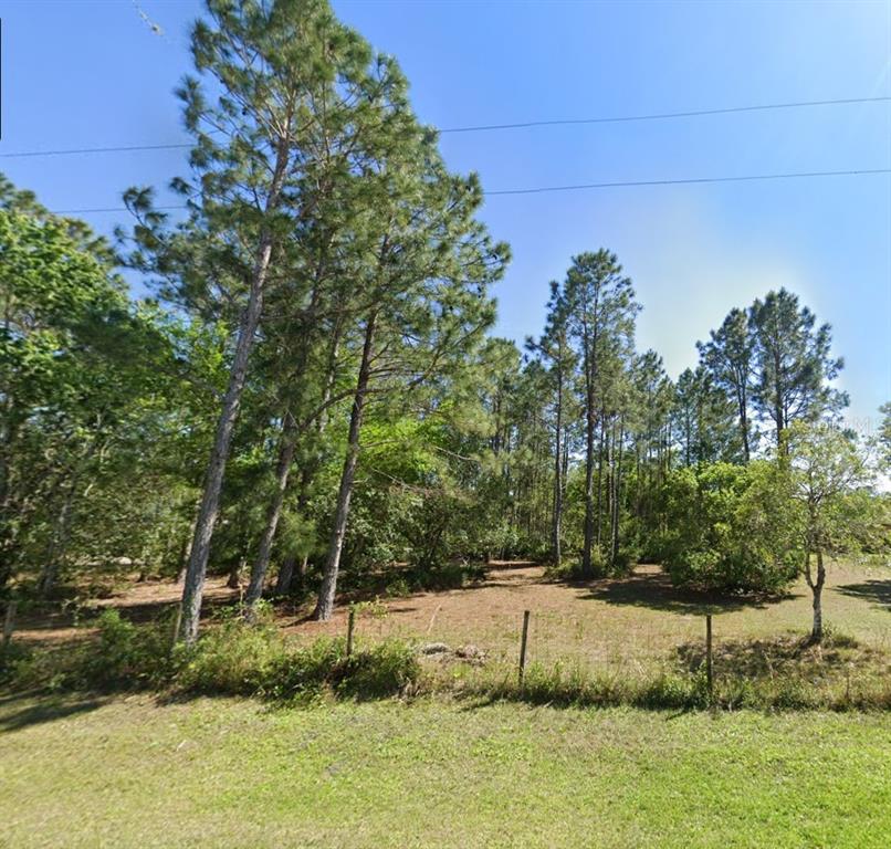 QUAIL HOLLOW PINES - фото