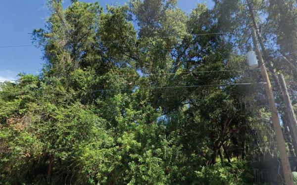 PORT CHARLOTTE SUB 17