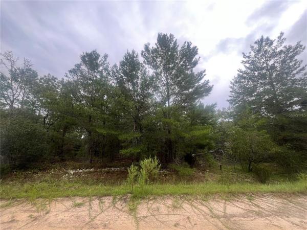 INTERLACHEN LAKES ESTATES