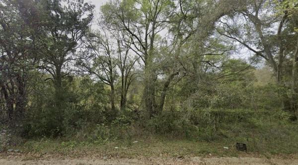 INTERLACHEN LAKES ESTATES