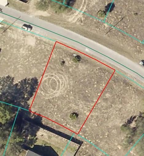 SILVER SPRINGS SHORES UNIT 31