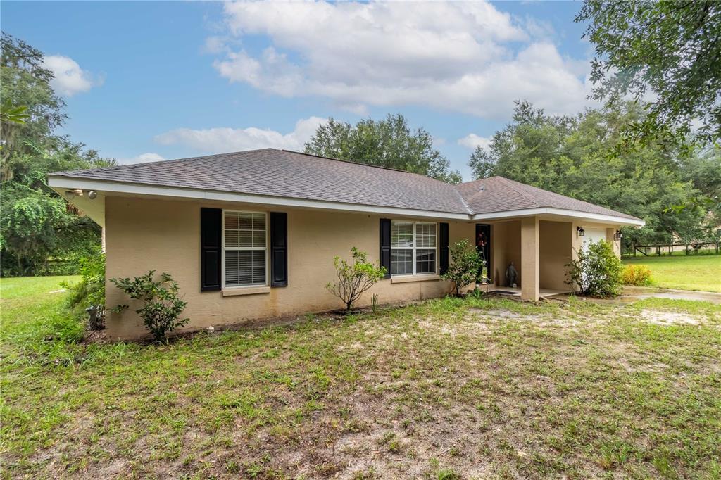 AG NONSUB - фото