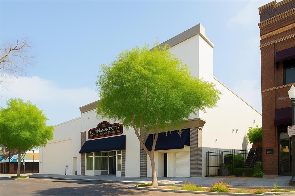 PLANT CITY REV MAP - фото