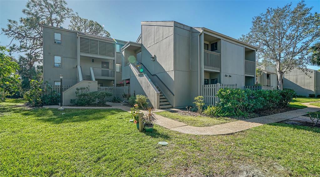 PINE RUN II - фото