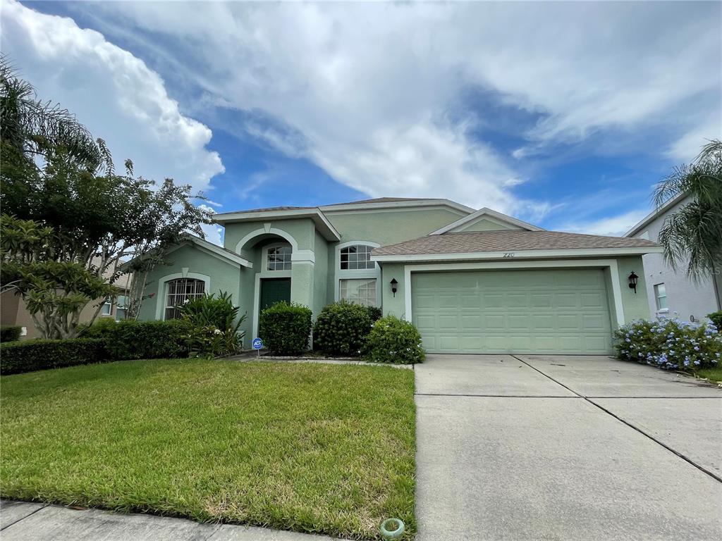 PARKSTONE - фото