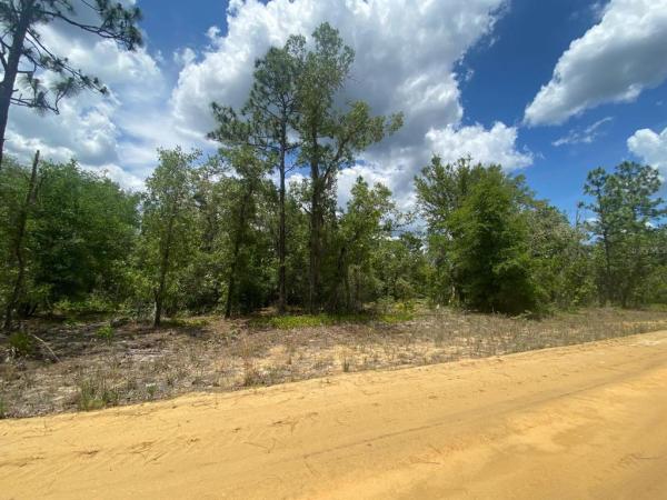 INTERLACHEN LAKES ESTATES