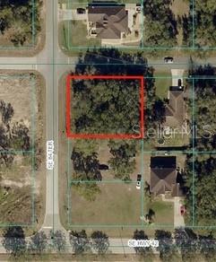 ORANGE BLOSSOM HILLS #3