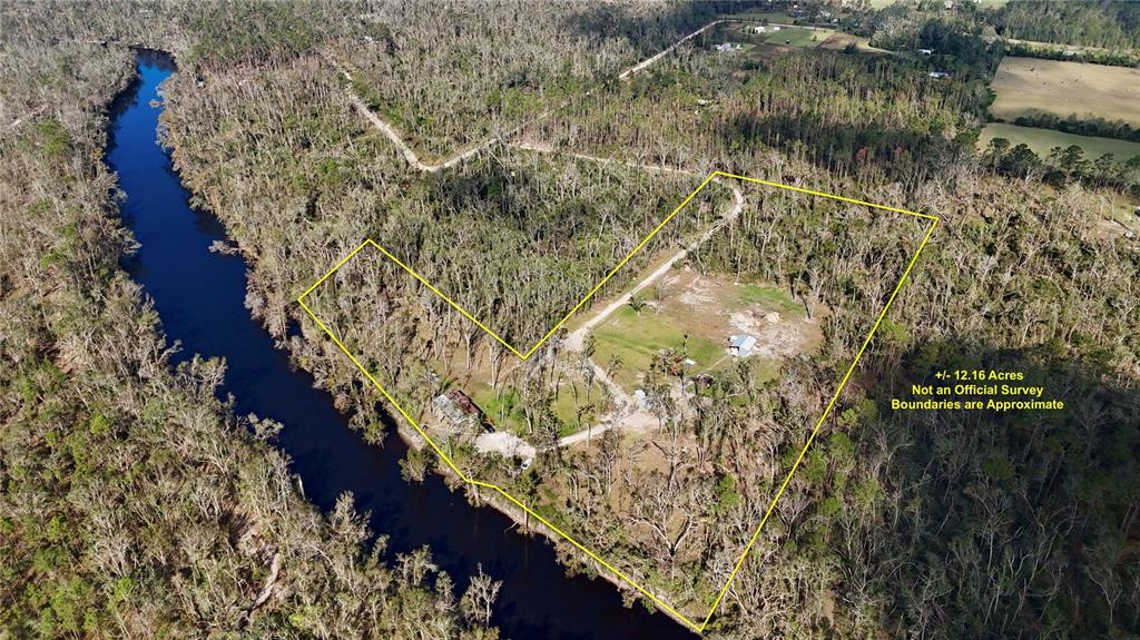 SECTION11 - фото