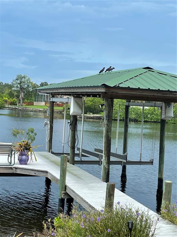 UNPLATTED - фото