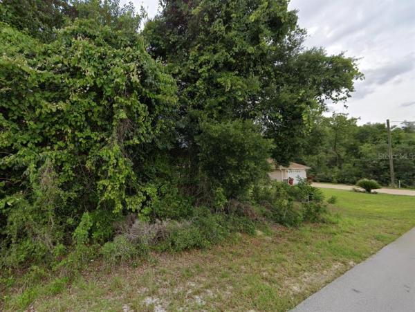 ORANGE BLOSSOM HILLS #2