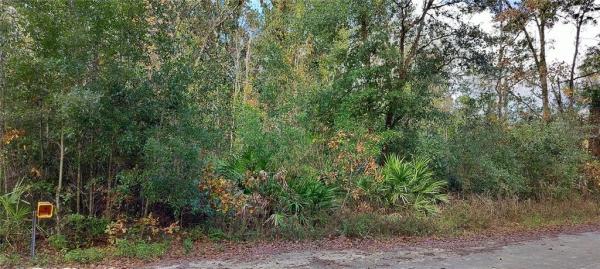 HOMOSASSA UNIT 11