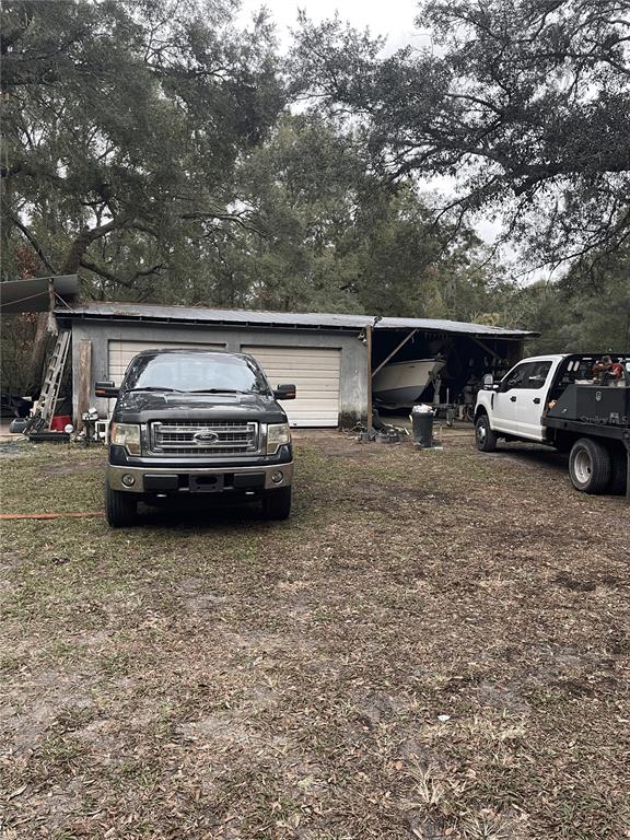 SEMINOLE FOREST - фото