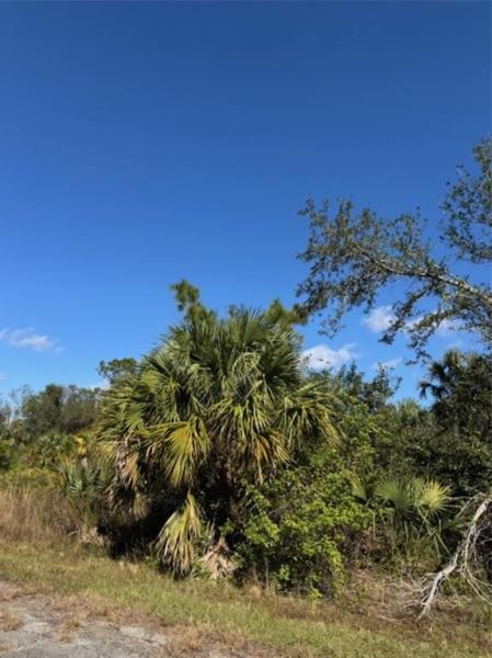 PORT CHARLOTTE SUB 47