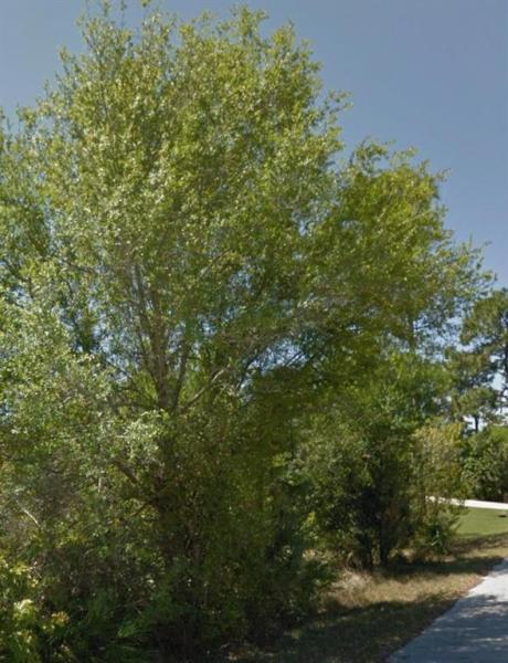 PORT CHARLOTTE SEC 013