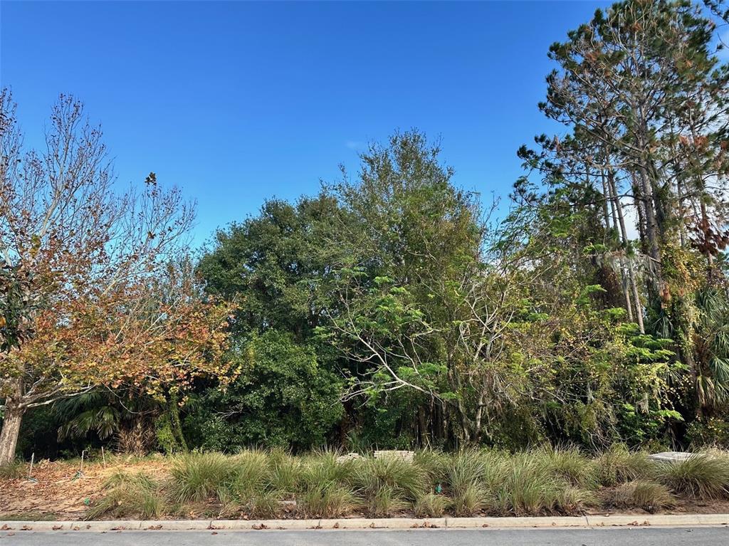 BELLA COLLINA ADD - фото